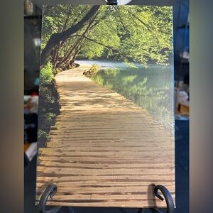 Original photography Scenic Pathway Canvas Art